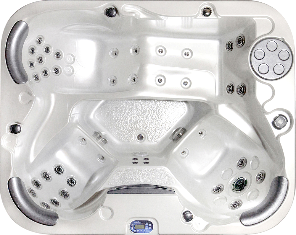 swim spas price